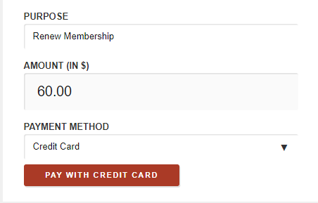 paycreditcard1.png