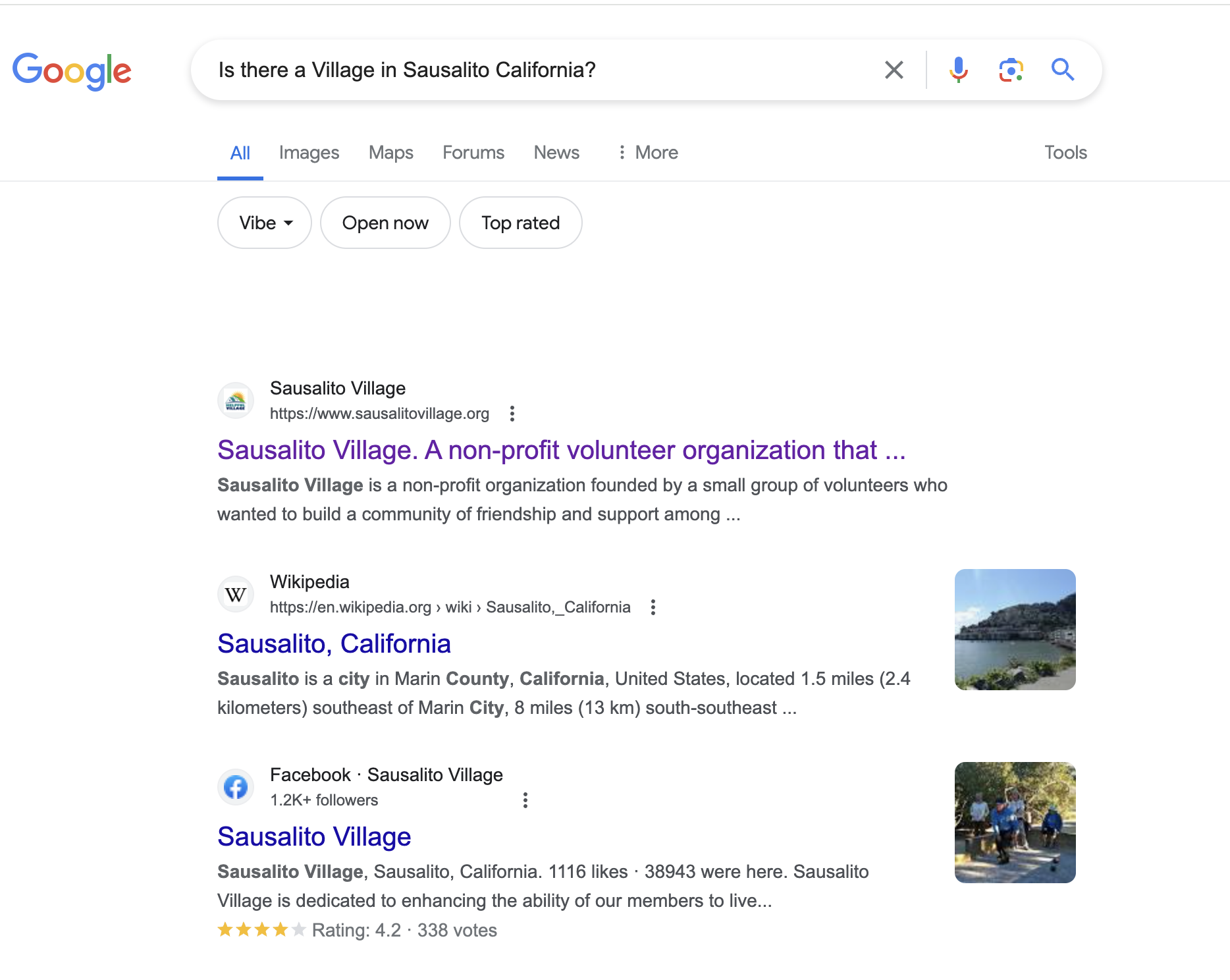 sausalitovillagegooglesearchresults.png