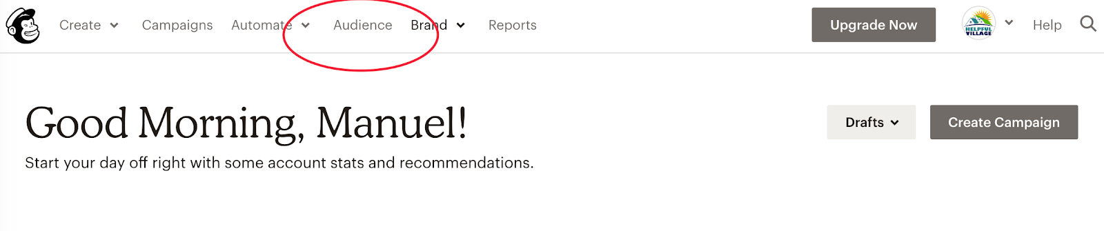 audience.png