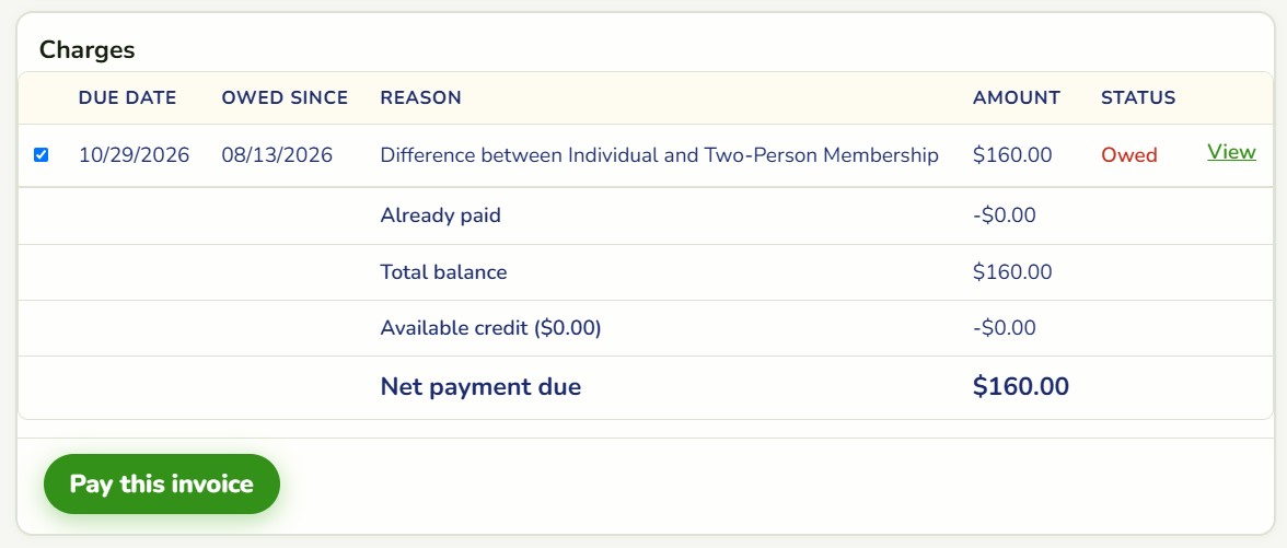 payinvoice1.jpg